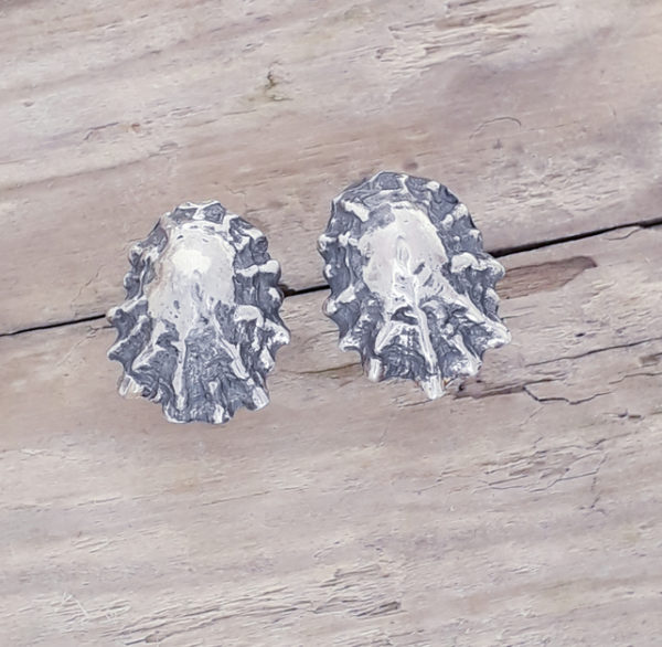 Silver Limpet Shell Earstuds